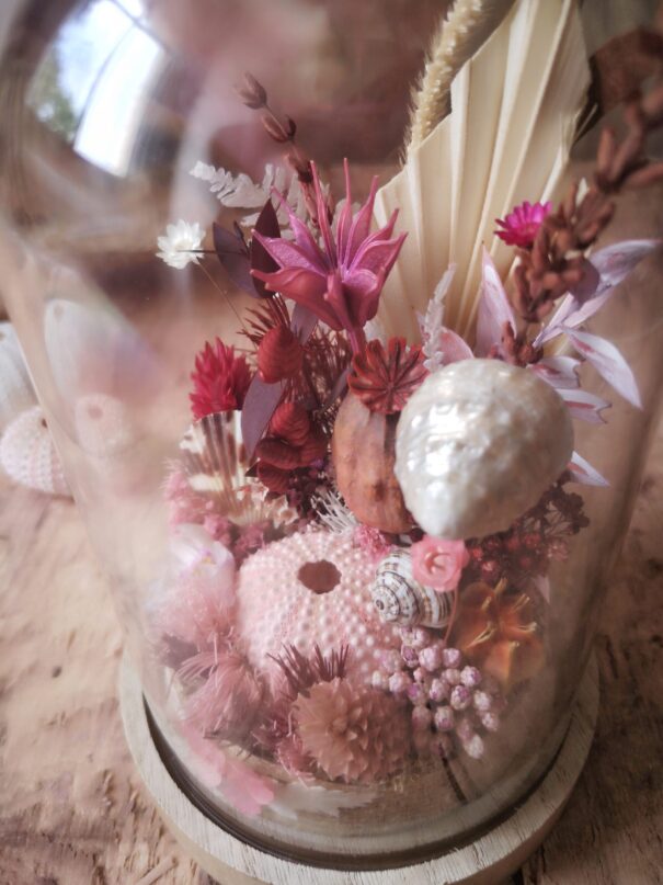 Cloche de fleurs séchées - Fleurs des sables – Image 3