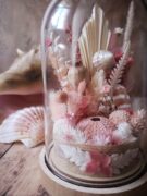 Cloche de fleurs séchées - Fleurs des sables – Image 9