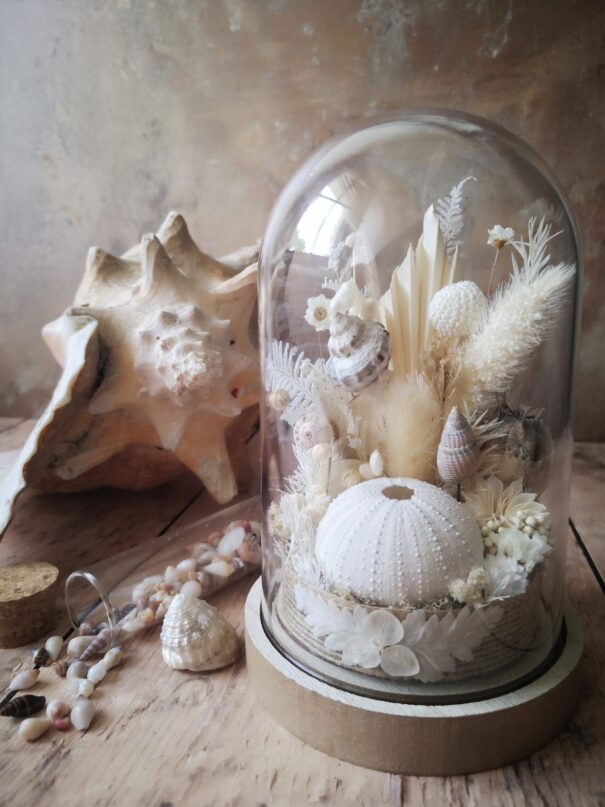 Cloche de fleurs séchées - Fleurs des sables – Image 31