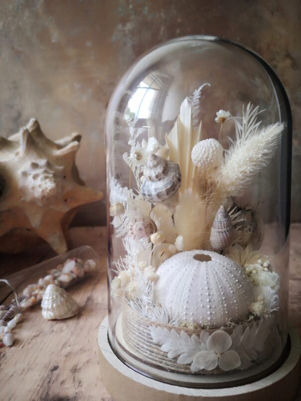 Cloche de fleurs séchées - Fleurs des sables – Image 35