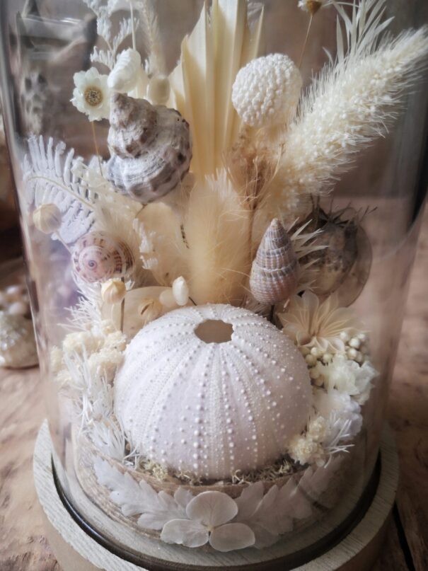 Cloche de fleurs séchées - Fleurs des sables – Image 32