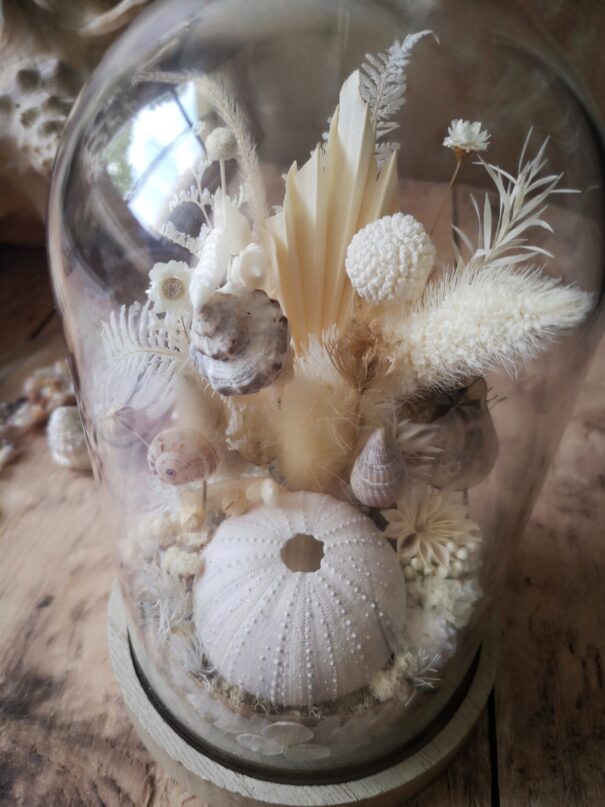 Cloche de fleurs séchées - Fleurs des sables – Image 16