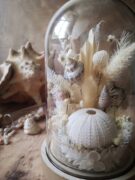 Cloche de fleurs séchées - Fleurs des sables – Image 45