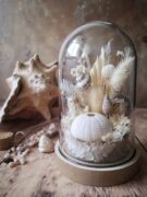 Cloche de fleurs séchées - Fleurs des sables – Image 15