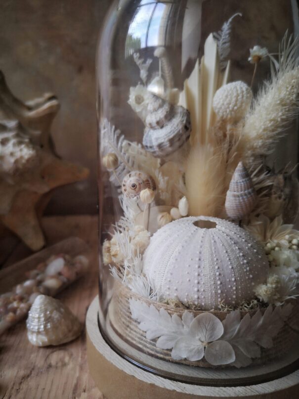 Cloche de fleurs séchées - Fleurs des sables – Image 39