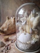 Cloche de fleurs séchées - Fleurs des sables – Image 17