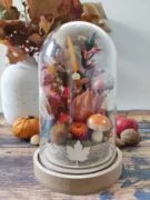 Cloche fleurie aux couleurs de l'automne, cette jolie cloche de fleurs séchées saura apporter une touche de décoration raffinée à votre intérieur.