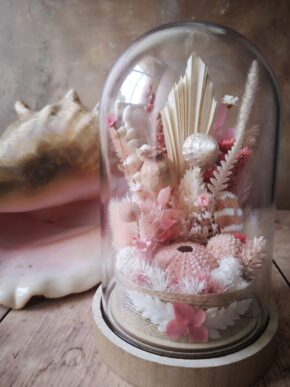 Cloche de fleurs séchées avec coquillages, tons rose et blanc