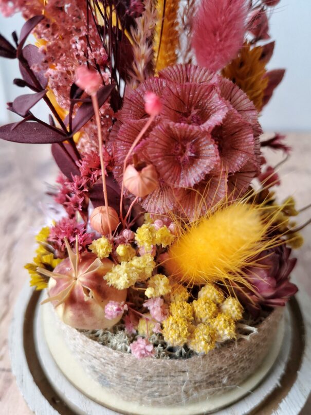 Cloche de fleurs séchées Rose/Moutarde - "Galathée" – Image 5