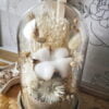 Cloche de fleurs séchées dans les tons blanc, crème et neutre. Idéale pour une décoration de mariage bohème ou pour une idée de cadeau pour un 1er anniversaire de mariage (noces de coton) grâce à sa fleur de coton située au centre de la cloche.
