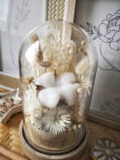 Cloche de fleurs séchées dans les tons blanc, crème et neutre. Idéale pour une décoration de mariage bohème ou pour une idée de cadeau pour un 1er anniversaire de mariage (noces de coton) grâce à sa fleur de coton située au centre de la cloche.