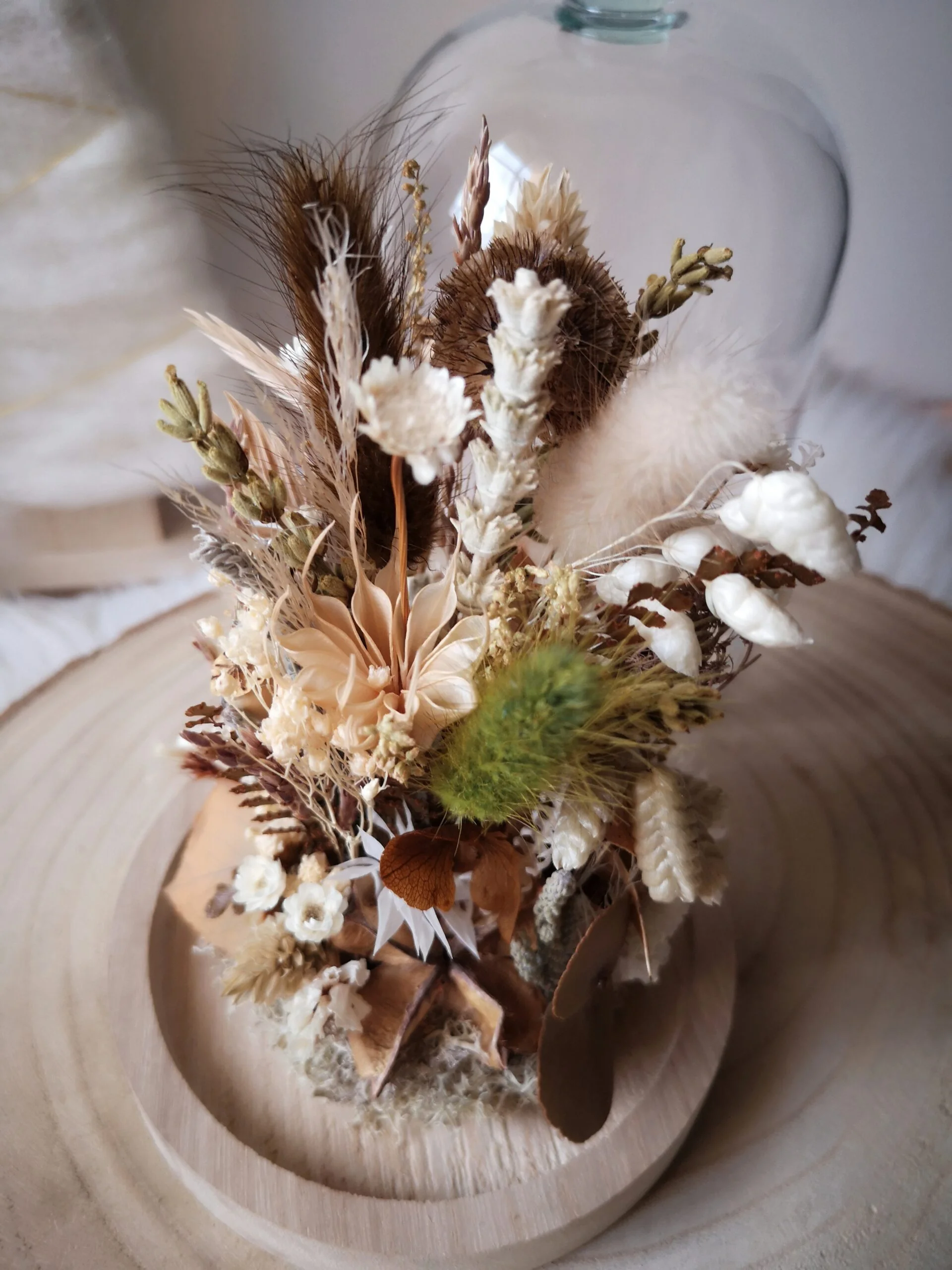 Cloche de fleurs séchées dans des tons verts et naturels. Petit jardin sous cloche qui apportera une touche de verdure durable et sans entretien à votre intérieur.